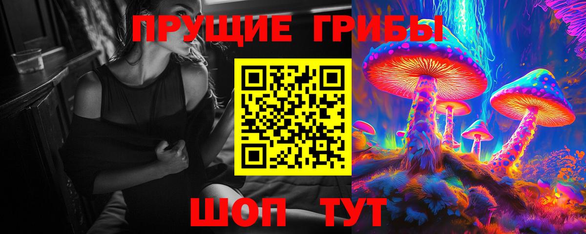 Галлюциногенные грибы GOLDEN TEACHER  Галлюциногенные грибы Psilocybine cubensis  Вход с VPN  Изобильный 